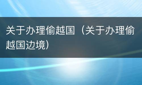 关于办理偷越国（关于办理偷越国边境）