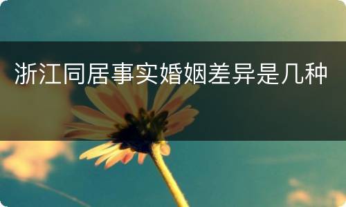 浙江同居事实婚姻差异是几种