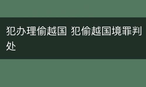 犯办理偷越国 犯偷越国境罪判处