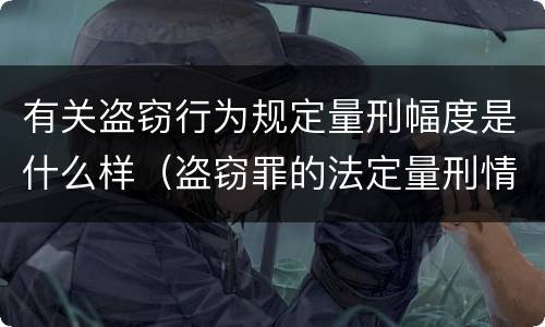 有关盗窃行为规定量刑幅度是什么样（盗窃罪的法定量刑情节）
