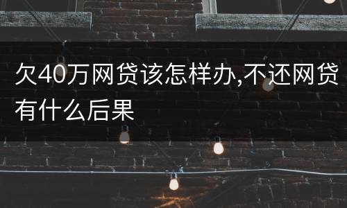 欠40万网贷该怎样办,不还网贷有什么后果