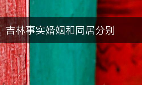 吉林事实婚姻和同居分别