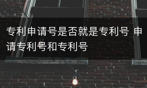 专利申请号是否就是专利号 申请专利号和专利号