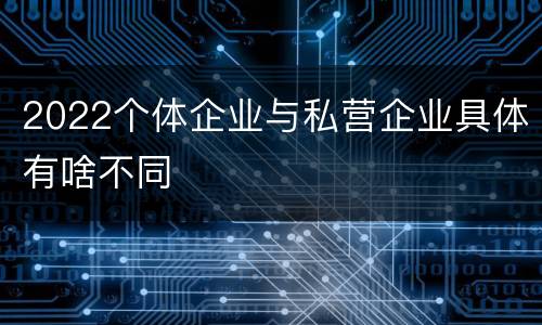 2022个体企业与私营企业具体有啥不同