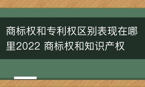 商标权和专利权区别表现在哪里2022 商标权和知识产权
