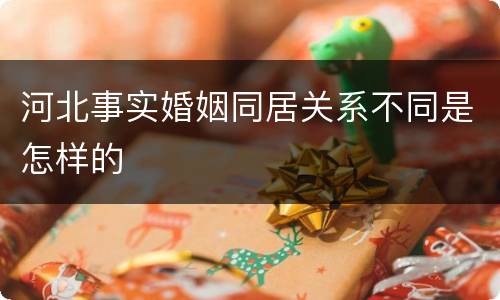 河北事实婚姻同居关系不同是怎样的