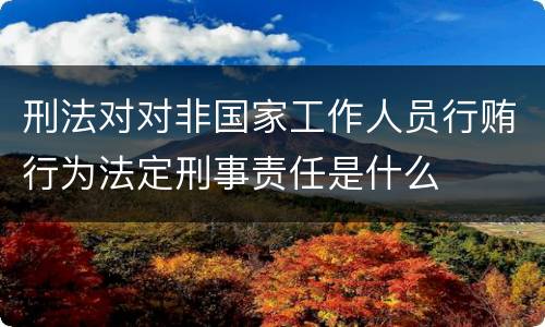 刑法对对非国家工作人员行贿行为法定刑事责任是什么
