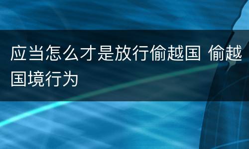 应当怎么才是放行偷越国 偷越国境行为