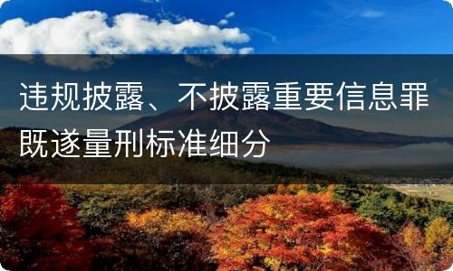 违规披露、不披露重要信息罪既遂量刑标准细分