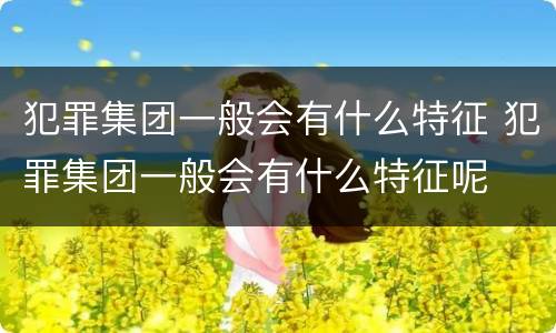 犯罪集团一般会有什么特征 犯罪集团一般会有什么特征呢