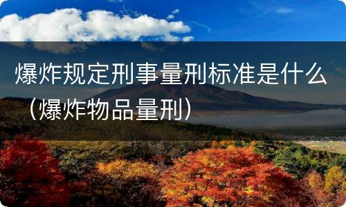 爆炸规定刑事量刑标准是什么（爆炸物品量刑）