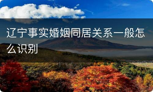 辽宁事实婚姻同居关系一般怎么识别