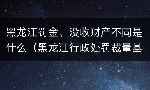 黑龙江罚金、没收财产不同是什么（黑龙江行政处罚裁量基准）