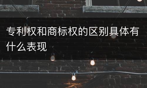 专利权和商标权的区别具体有什么表现