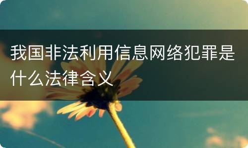 我国非法利用信息网络犯罪是什么法律含义