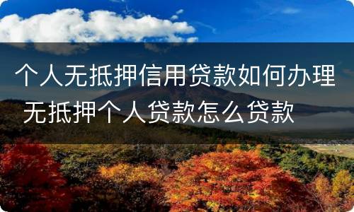 个人无抵押信用贷款如何办理 无抵押个人贷款怎么贷款