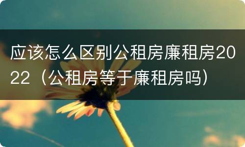 应该怎么区别公租房廉租房2022（公租房等于廉租房吗）