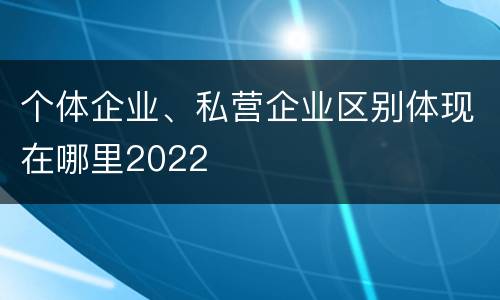 个体企业、私营企业区别体现在哪里2022