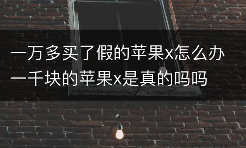 一万多买了假的苹果x怎么办 一千块的苹果x是真的吗吗