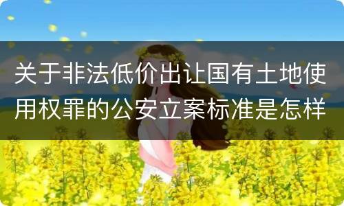 关于非法低价出让国有土地使用权罪的公安立案标准是怎样规定