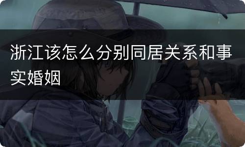 浙江该怎么分别同居关系和事实婚姻
