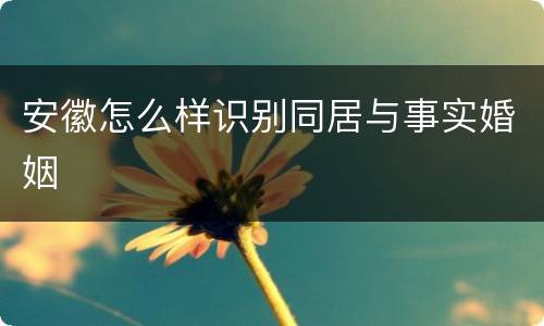 安徽怎么样识别同居与事实婚姻