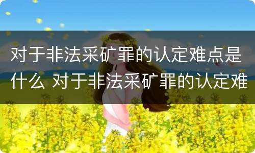 对于非法采矿罪的认定难点是什么 对于非法采矿罪的认定难点是什么原因