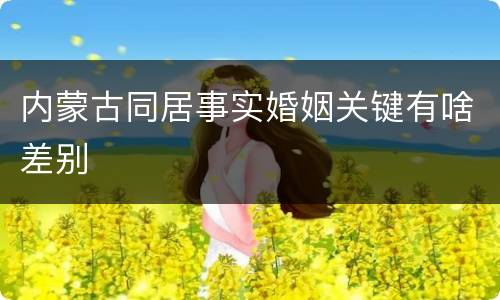 内蒙古同居事实婚姻关键有啥差别
