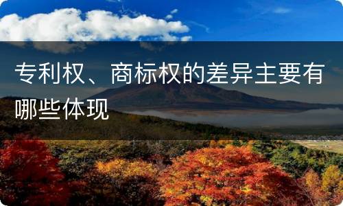 专利权、商标权的差异主要有哪些体现
