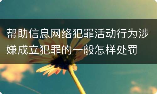帮助信息网络犯罪活动行为涉嫌成立犯罪的一般怎样处罚
