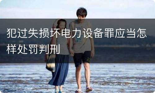 犯过失损坏电力设备罪应当怎样处罚判刑