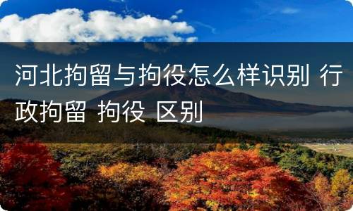 河北拘留与拘役怎么样识别 行政拘留 拘役 区别
