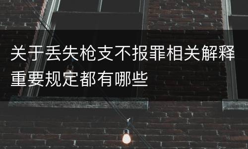 关于丢失枪支不报罪相关解释重要规定都有哪些
