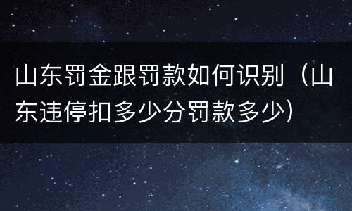 山东罚金跟罚款如何识别（山东违停扣多少分罚款多少）