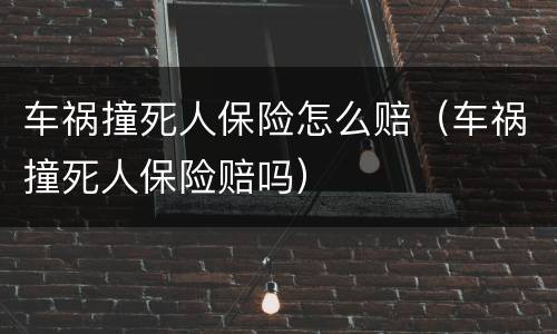 车祸撞死人保险怎么赔（车祸撞死人保险赔吗）