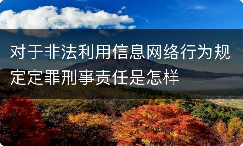对于非法利用信息网络行为规定定罪刑事责任是怎样