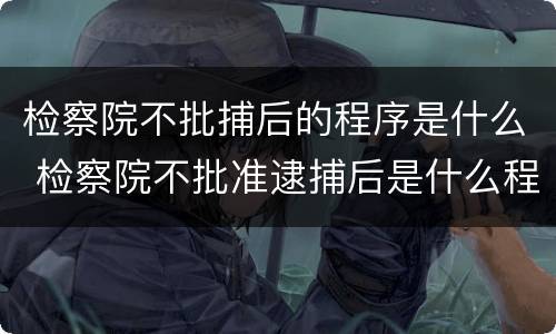 检察院不批捕后的程序是什么 检察院不批准逮捕后是什么程序