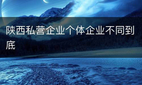 陕西私营企业个体企业不同到底
