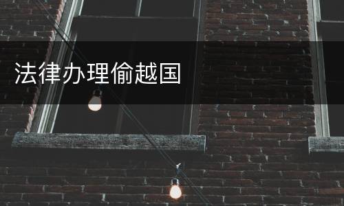 法律办理偷越国