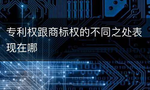 专利权跟商标权的不同之处表现在哪