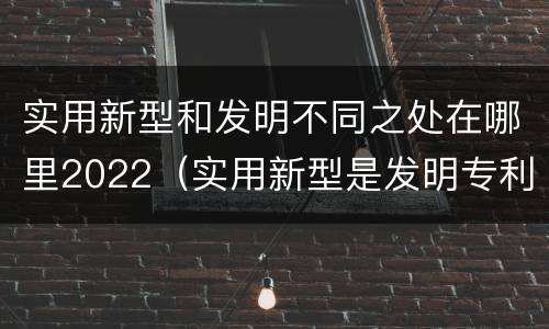 实用新型和发明不同之处在哪里2022（实用新型是发明专利吗）