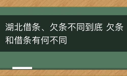 湖北借条、欠条不同到底 欠条和借条有何不同
