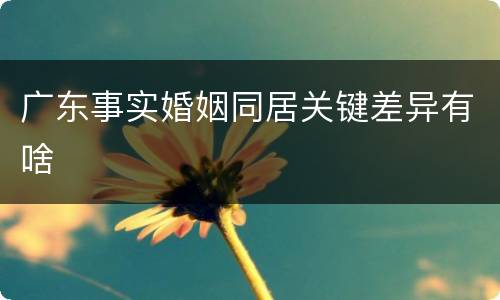 广东事实婚姻同居关键差异有啥