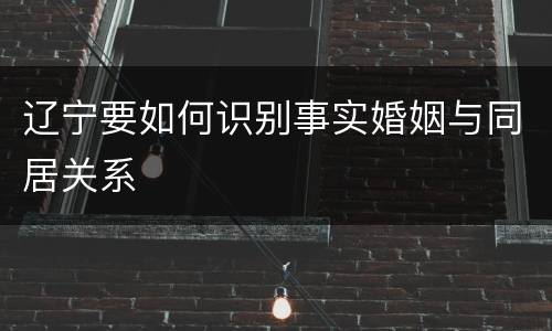 辽宁要如何识别事实婚姻与同居关系
