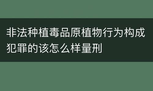 非法种植毒品原植物行为构成犯罪的该怎么样量刑