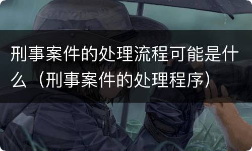 刑事案件的处理流程可能是什么（刑事案件的处理程序）