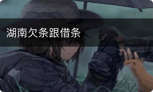 湖南欠条跟借条