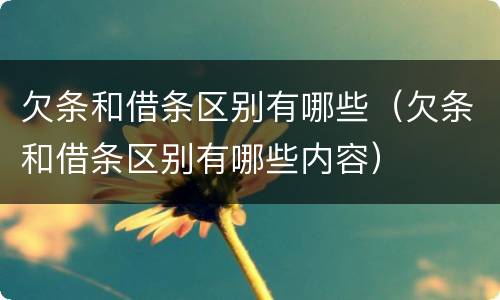 欠条和借条区别有哪些（欠条和借条区别有哪些内容）