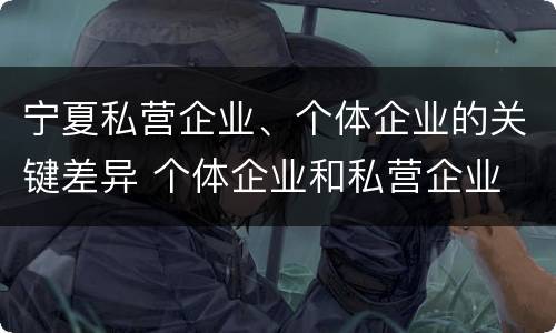 宁夏私营企业、个体企业的关键差异 个体企业和私营企业