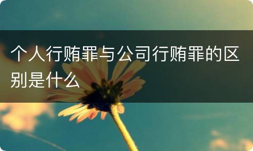 个人行贿罪与公司行贿罪的区别是什么